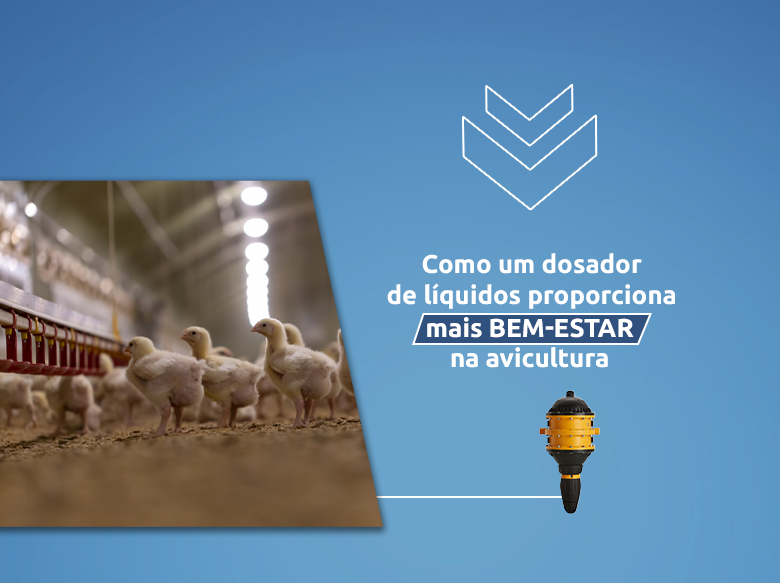 Como um dosador de líquidos proporciona mais bem-estar na avicultura