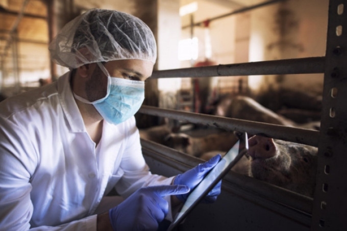 O crescimento do Agronegócio em 2020 tem um motivo: Tecnologia