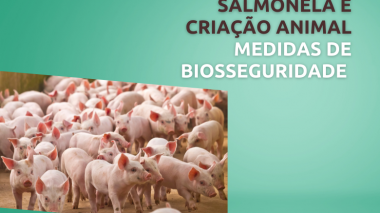 SALMONELA E CRIAÇÃO ANIMAL: medidas de biosseguridade